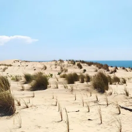 3 Pieces Avec Wi-fi Et Parking, Proche - La Palmyre - Fr-1-705-59 Σπίτι διακοπών *