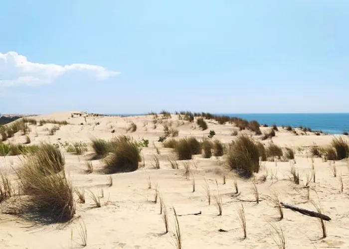 3 Pieces Avec Wi-fi Et Parking, Proche - La Palmyre - Fr-1-705-59 Сasa de vacaciones *